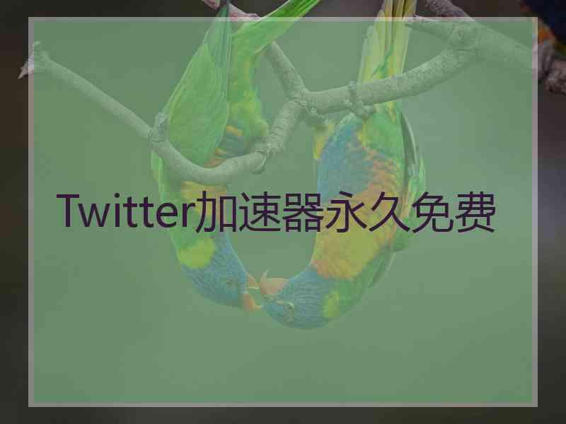 Twitter加速器永久免费