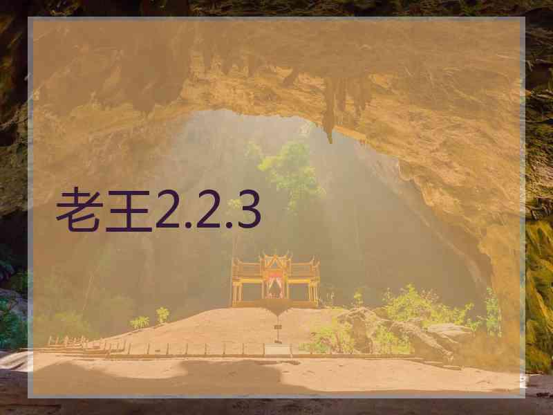 老王2.2.3