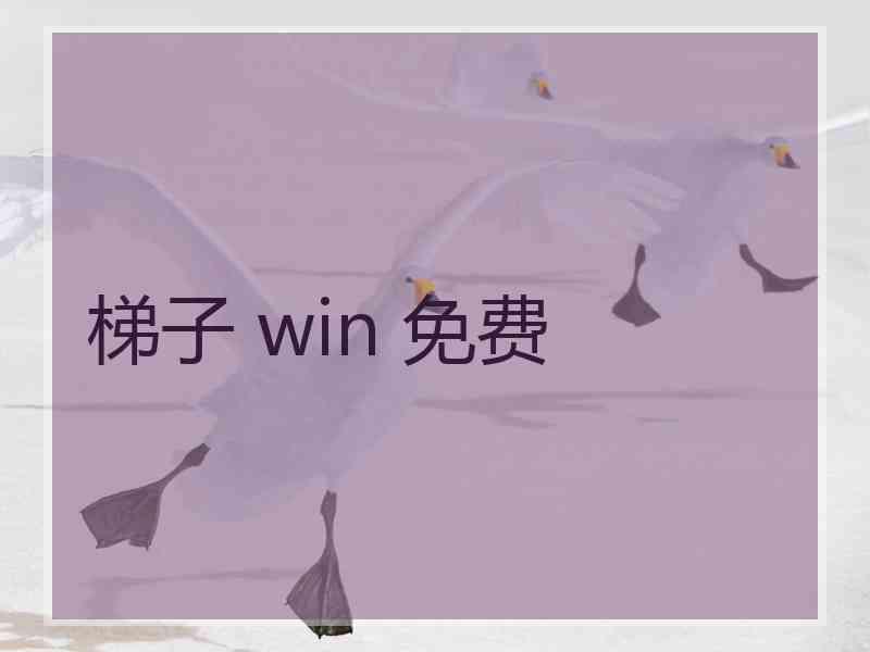 梯子 win 免费