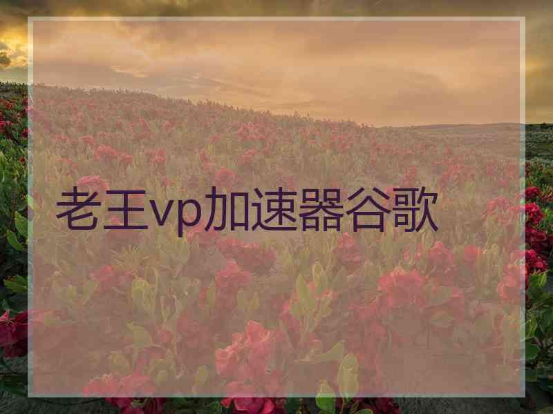 老王vp加速器谷歌