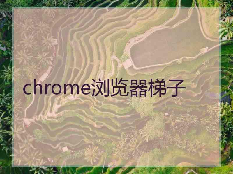 chrome浏览器梯子