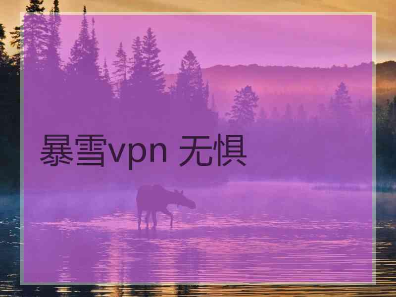 暴雪vpn 无惧