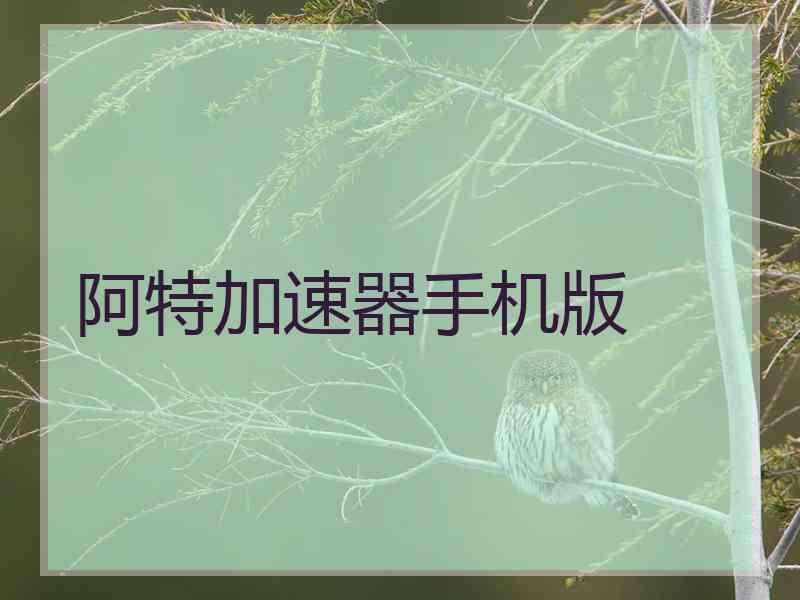 阿特加速器手机版