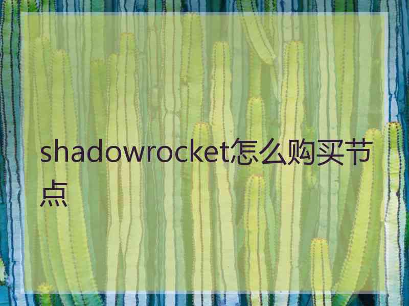 shadowrocket怎么购买节点