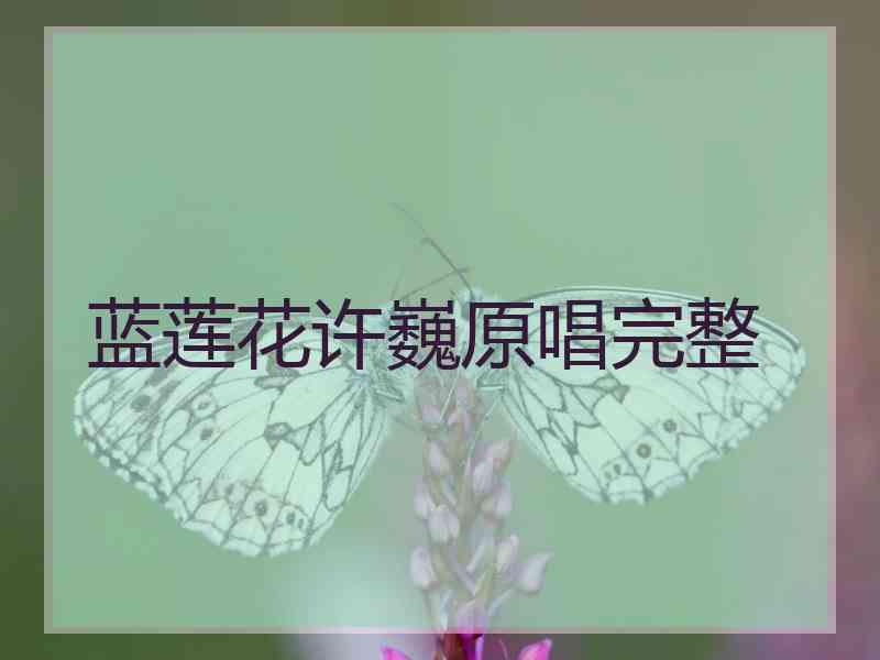 蓝莲花许巍原唱完整