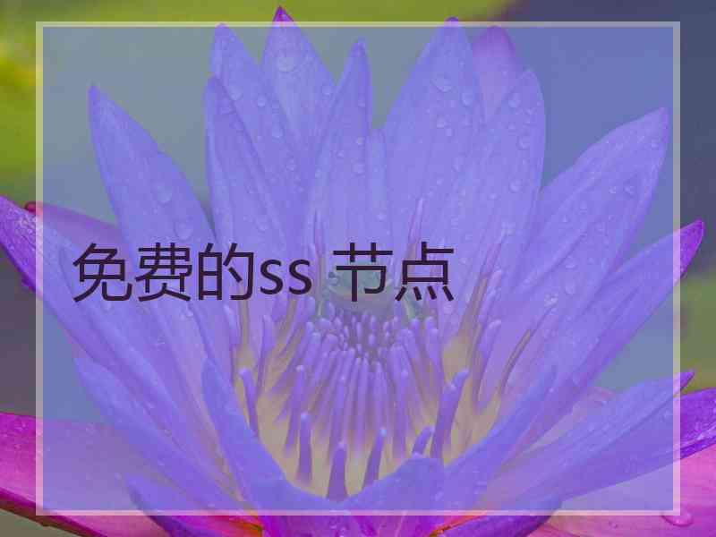 免费的ss 节点