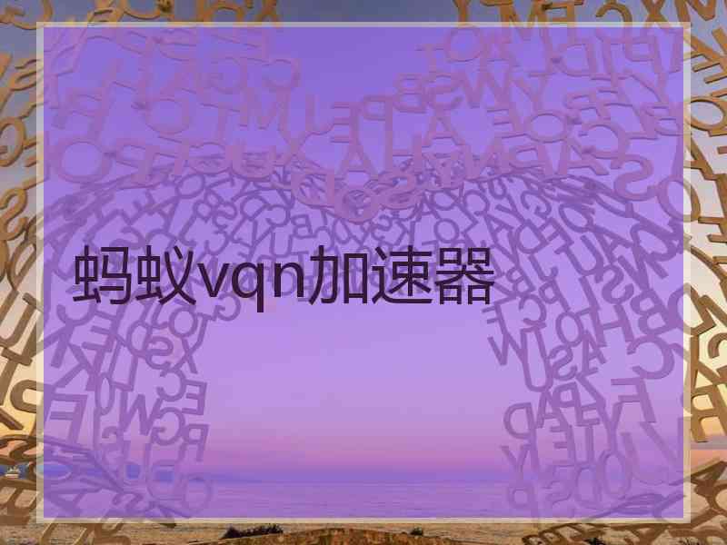 蚂蚁vqn加速器