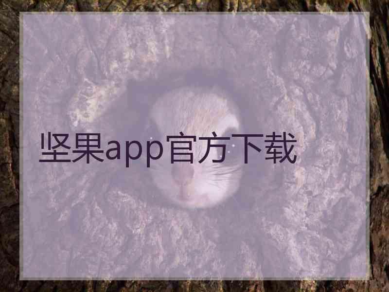 坚果app官方下载