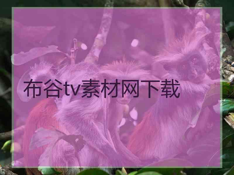 布谷tv素材网下载