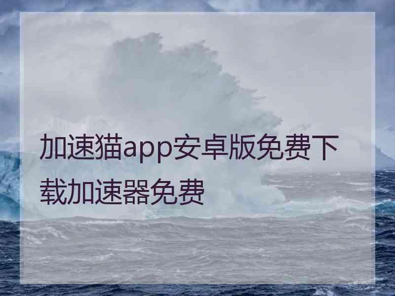 加速猫app安卓版免费下载加速器免费