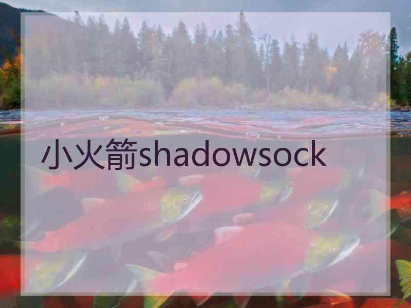 小火箭shadowsock