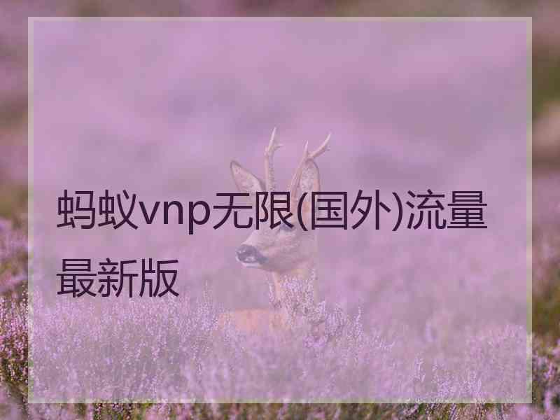 蚂蚁vnp无限(国外)流量最新版