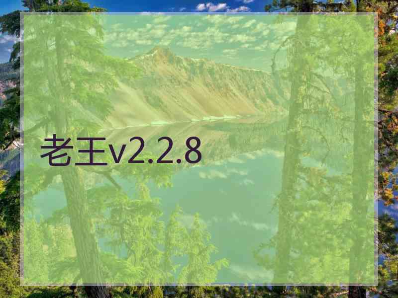 老王v2.2.8