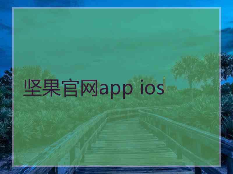 坚果官网app ios