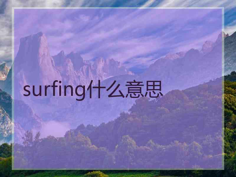 surfing什么意思