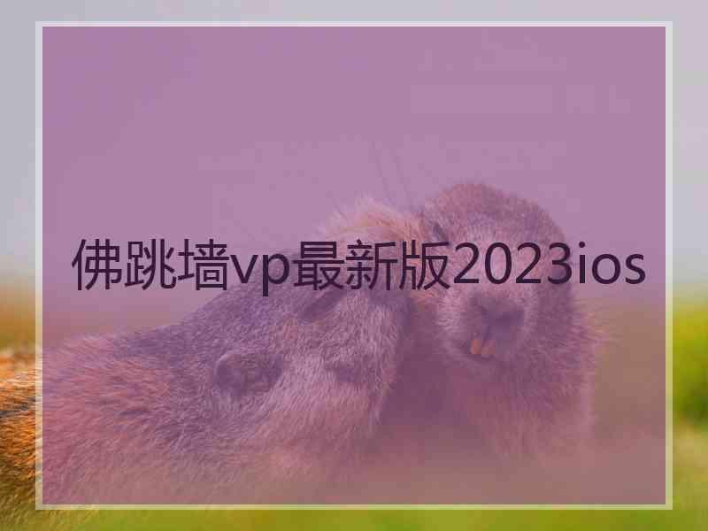 佛跳墙vp最新版2023ios