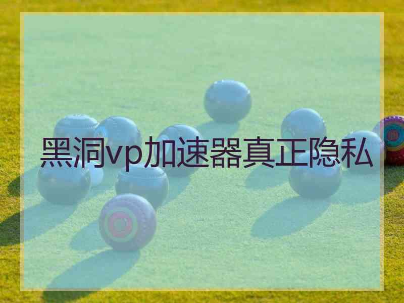 黑洞vp加速器真正隐私