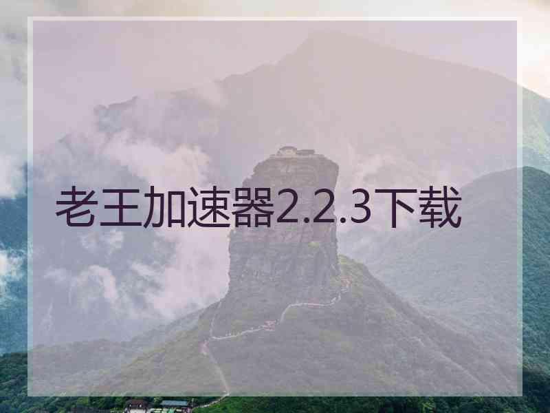 老王加速器2.2.3下载