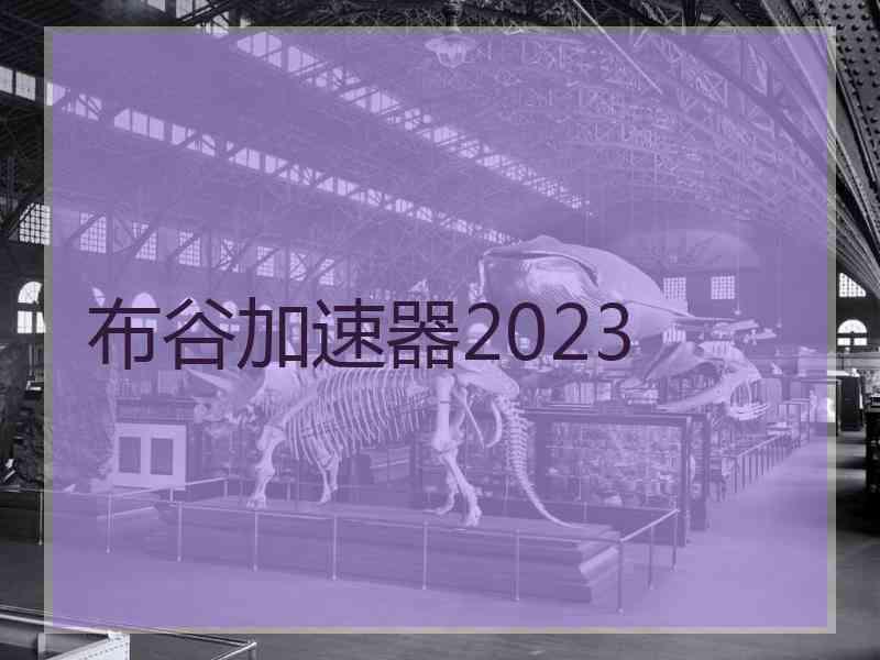 布谷加速器2023