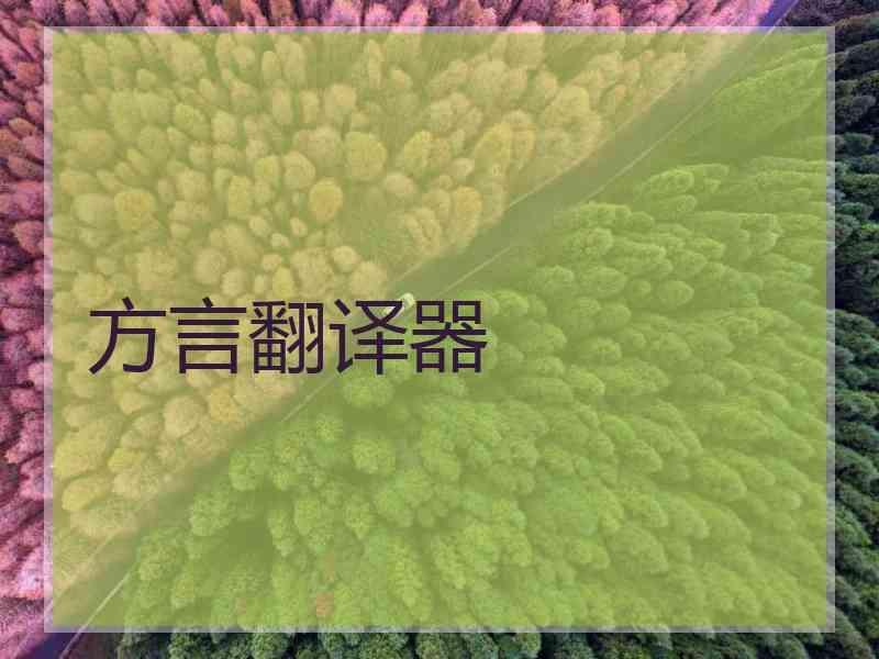 方言翻译器