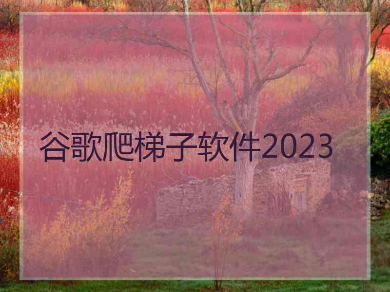 谷歌爬梯子软件2023