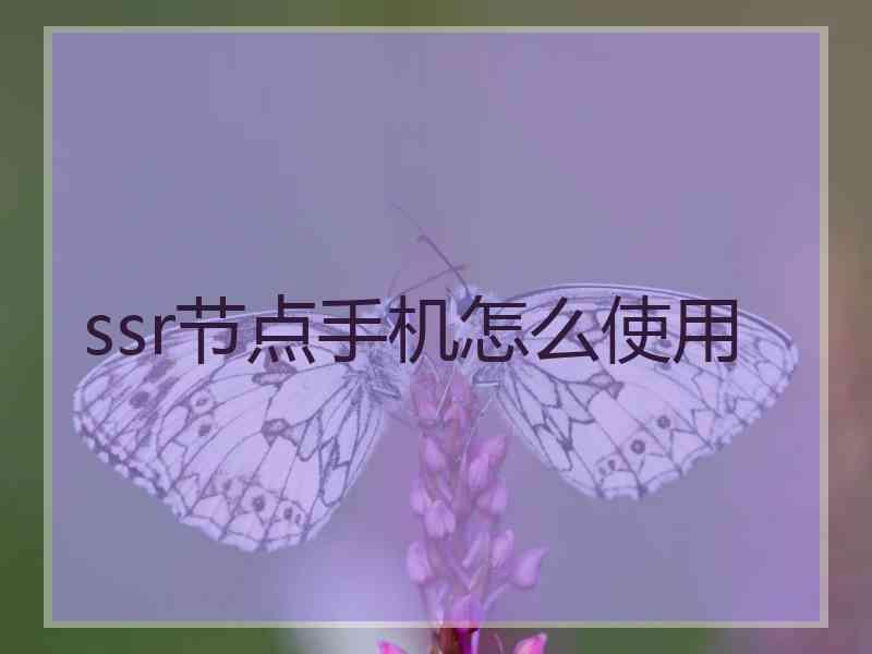 ssr节点手机怎么使用