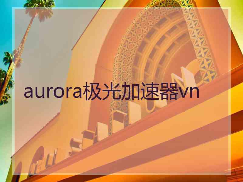 aurora极光加速器vn