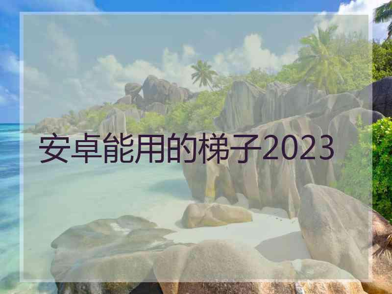 安卓能用的梯子2023