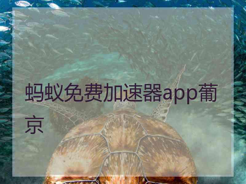 蚂蚁免费加速器app葡京