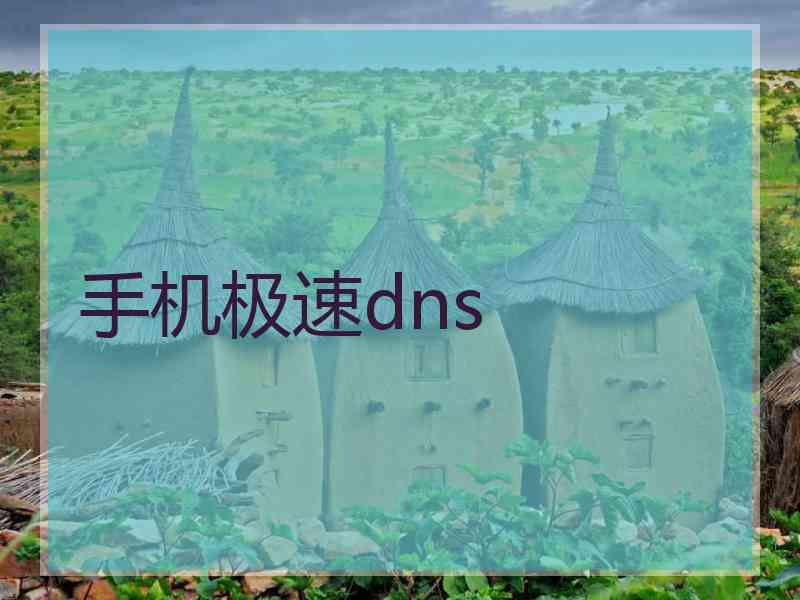 手机极速dns