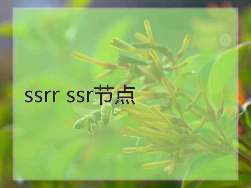 ssrr ssr节点