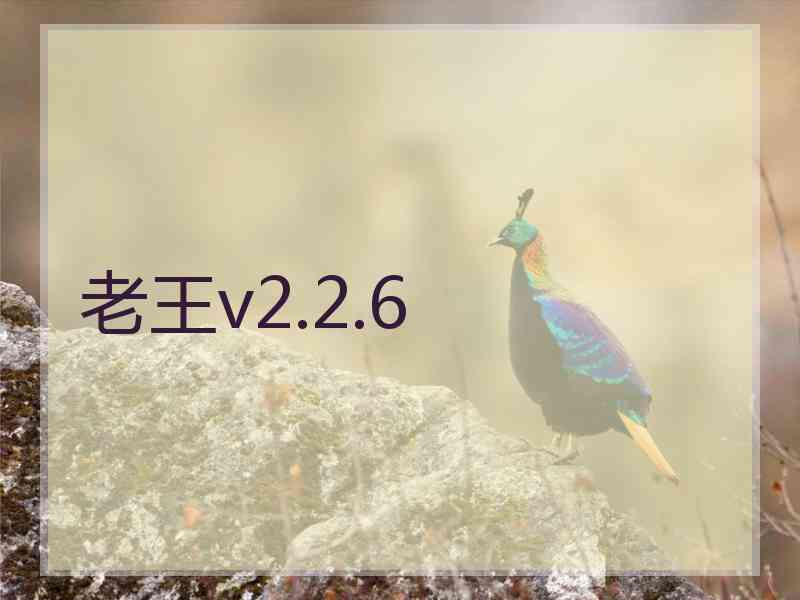 老王v2.2.6