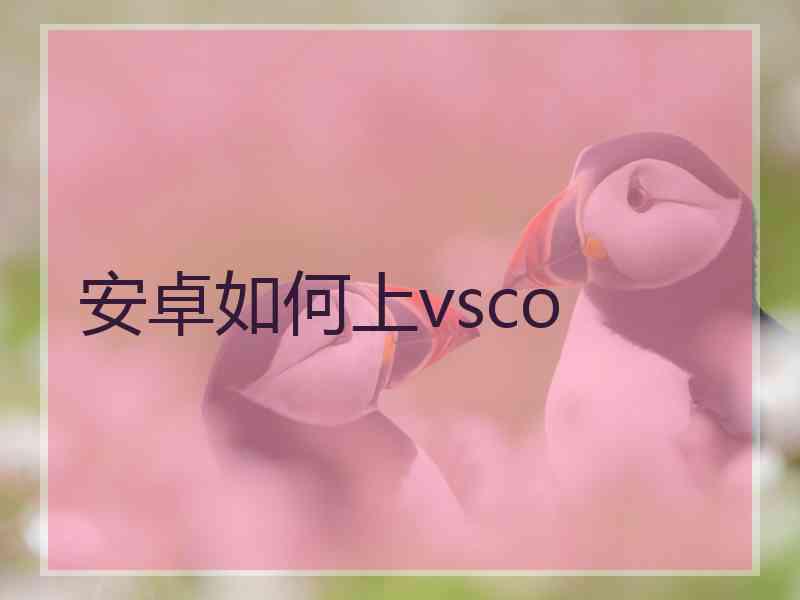 安卓如何上vsco