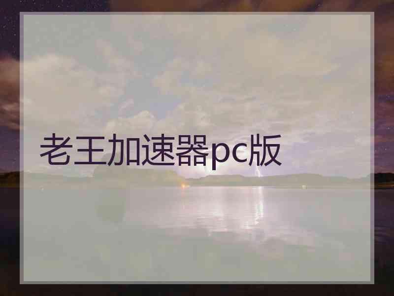 老王加速器pc版