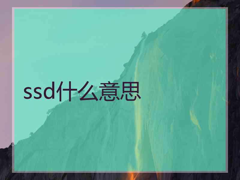 ssd什么意思