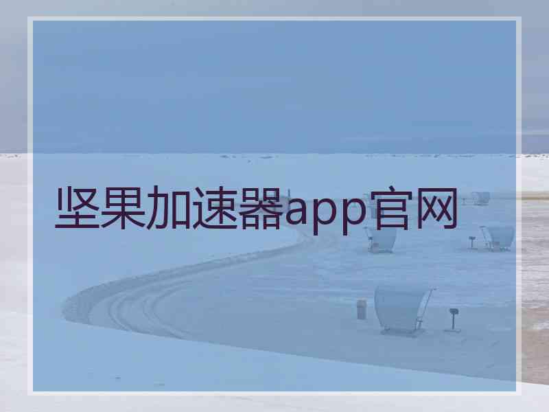 坚果加速器app官网