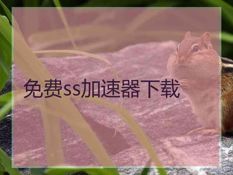 免费ss加速器下载