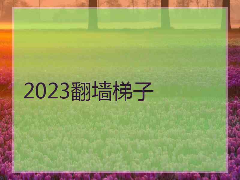 2023翻墙梯子