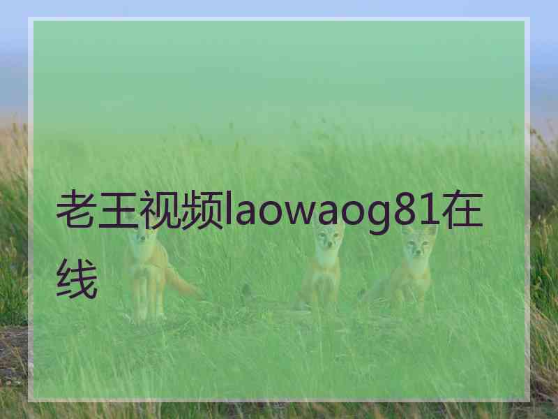 老王视频laowaog81在线