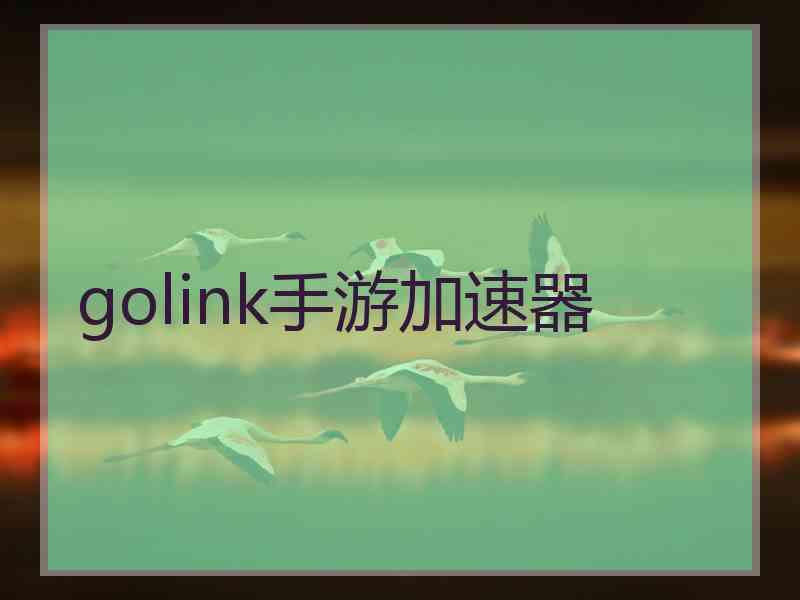 golink手游加速器