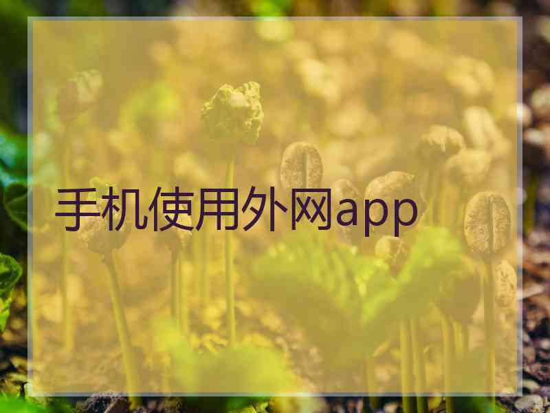 手机使用外网app