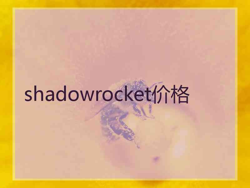 shadowrocket价格