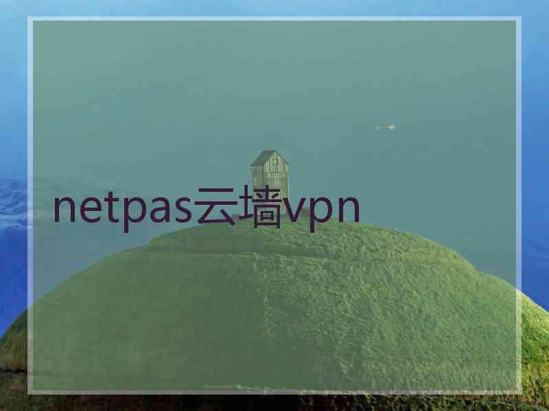 netpas云墙vpn