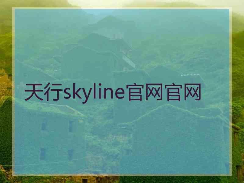 天行skyline官网官网