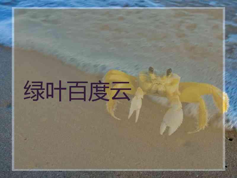 绿叶百度云