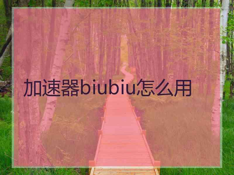 加速器biubiu怎么用