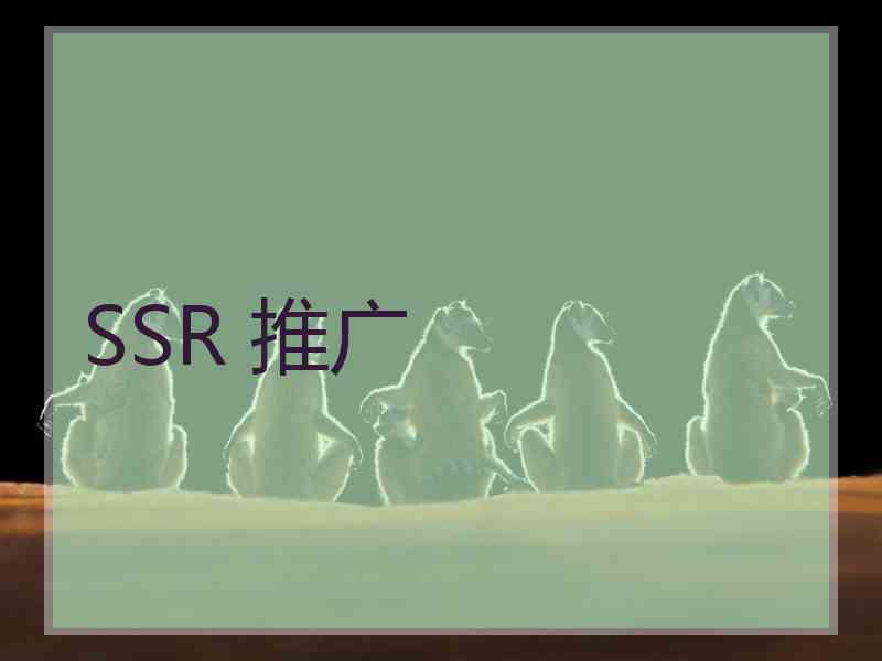 SSR 推广