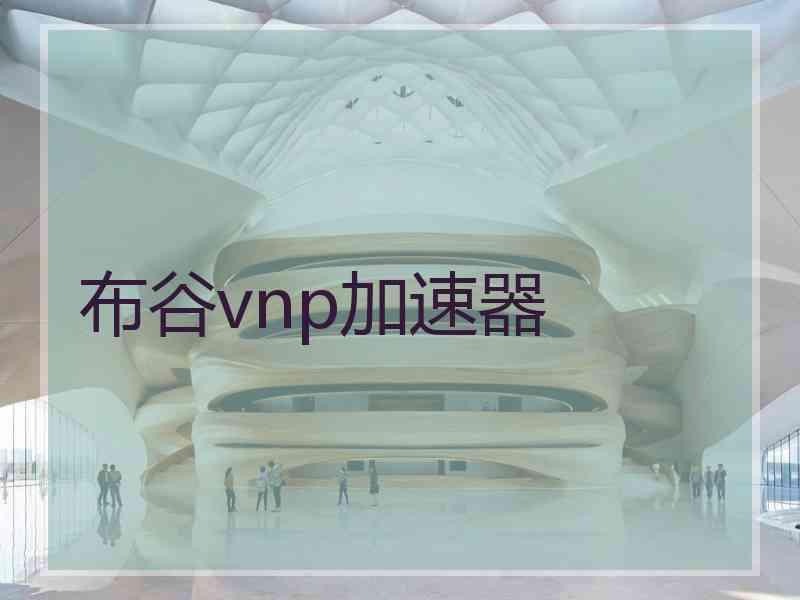 布谷vnp加速器