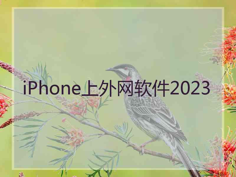 iPhone上外网软件2023