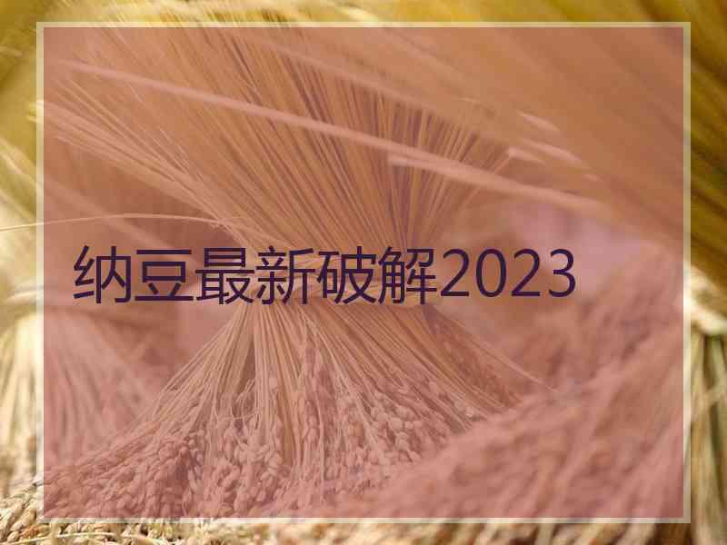 纳豆最新破解2023